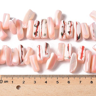Dyed Natural Trochus Shell Beads Strands SSHEL-C013-09L-1