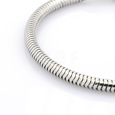 Tarnish Resistant 304 Stainless Steel European Style Round Snake Chains Bracelets STAS-J015-02-1