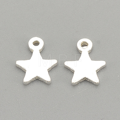925 Sterling Silver Charms LS-STER-S002-30-1