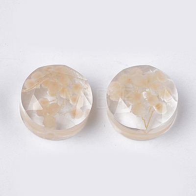 Resin Cabochons CRES-T014-21I-1