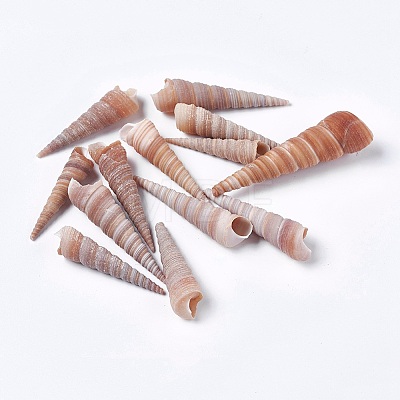 Natural Conch DIY-WH0097-01-1