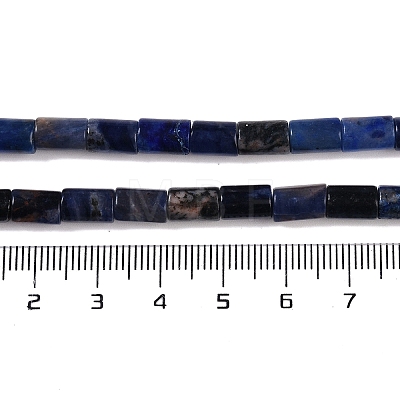 Natural Sodalite Beads Strands G-C128-A25-01-1