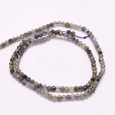 Natural Cordierite/Iolite/Dichroite Beads Strands G-F509-39-2mm-1