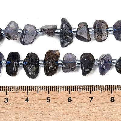 Natural Iolite Beads Strands G-L657-E04-01-1