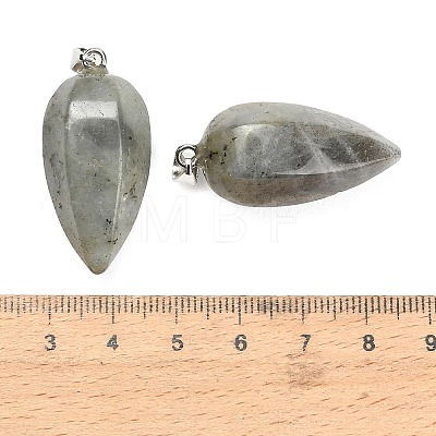 Natural Labradorite Pendants GG-K002-16M-1