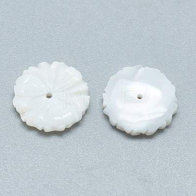 Freshwater Shell Beads SHEL-S275-012-1
