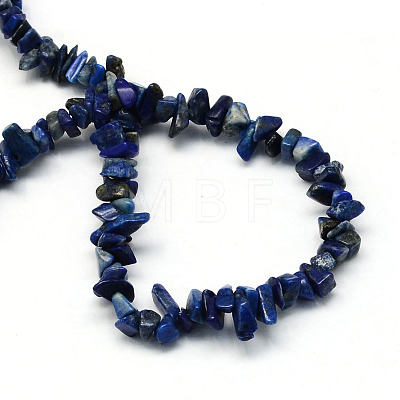 Dyed Natural Lapis Lazuli Stone Bead Strands G-R192-A08-1