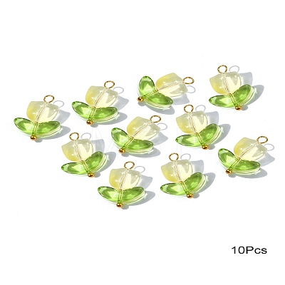 Handmade Lampwork Pendants PALLOY-YW028-01-1