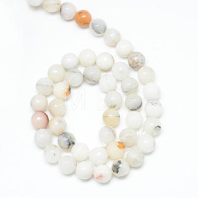 Natural Agate Bead Strands G-R346-10mm-26-1