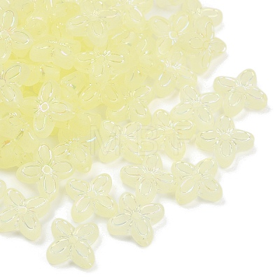 Frosted Transparent Acrylic Beads OACR-P029-09B-03-1