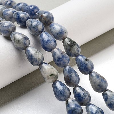 Natural Blue Spot Jasper Beads Strands G-B106-A15-02-1