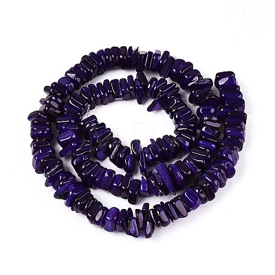 Natural Freshwater Shell Beads Strands SHEL-T020-40B-1