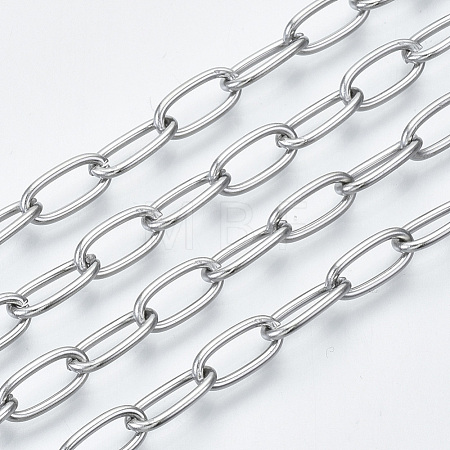 Tarnish Resistant 304 Stainless Steel Paperclip Chains CHS-S001-06A-P-1