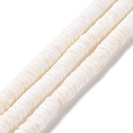 Natural Sea Shell Beads Strands SSHEL-G023-07-1