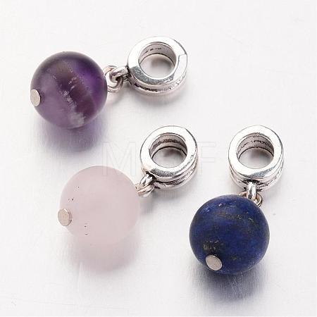 Natural Gemstone European Dangle Charms PALLOY-JF00226-1