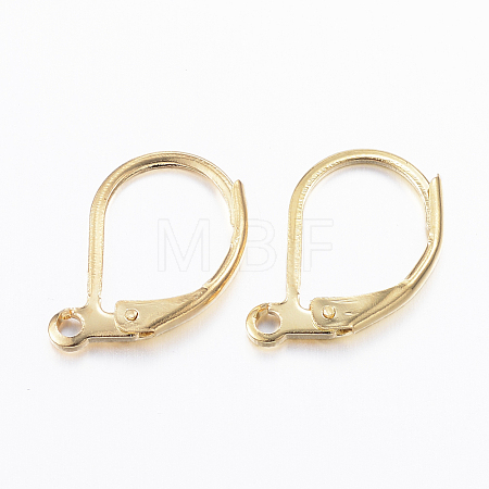 304 Stainless Steel Leverback Earring Findings X-STAS-L190-14G-1