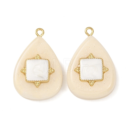 304 Stainless Steel Resin Pendants STAS-F352-07E-08-1