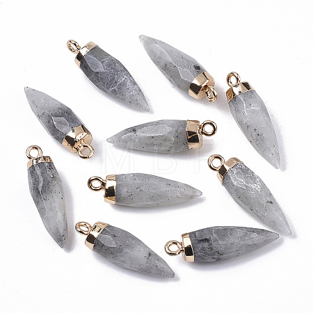 Top Golden Plated Natural Labradorite Pointed Pendants X-G-S359-078D-1