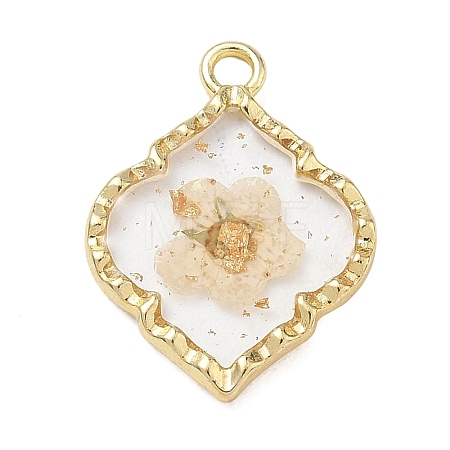 Alloy Epoxy Resin Pendants AL-Z001-08G-03-1
