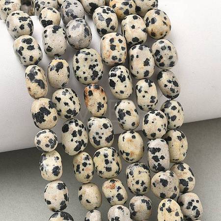 Natural Dalmatian Jasper Beads Strands G-C286-A09-1