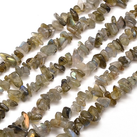 Natural Labradorite Chip Bead Strands X-G-M205-13-1