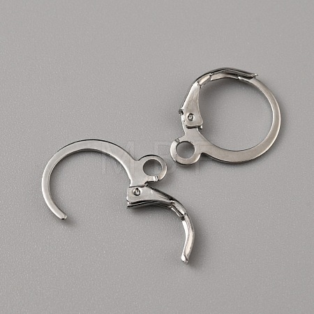 Brass Leverback Earring Findings FIND-WH0125-13P-1