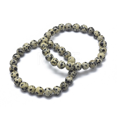 Natural Dalmatian Jasper Bead Stretch Bracelets BJEW-K212-A-014-1