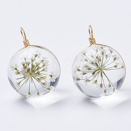 Glass Pendants X-GLAA-Q070-002B-01-1