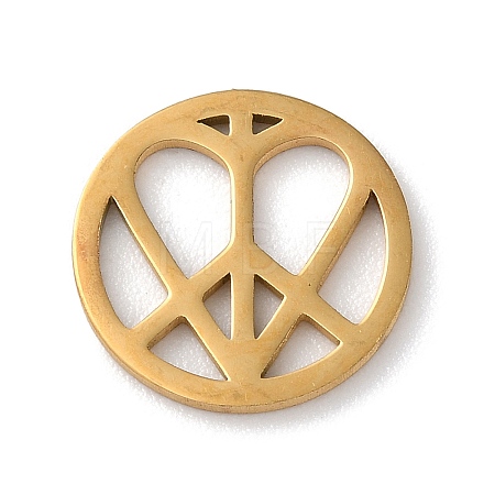 304 Stainless Steel Charms STAS-P338-05G-1