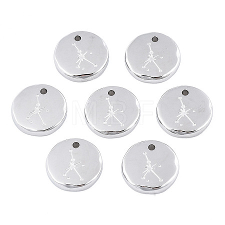 Non-Tarnish 316 Surgical Stainless Steel Charms STAS-S116-418I-P-1