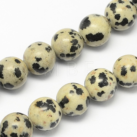 Natural Dalmatian Jasper Stone Bead Strands X-G-R193-14-4mm-1
