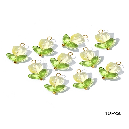 Handmade Lampwork Pendants PALLOY-YW028-01-1