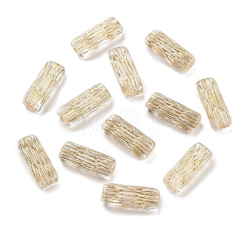 Metal Enlaced Transparent Acrylic Beads X-MACR-M045-10-1