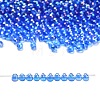 MIYUKI 3.4mm Drop Beads SEED-MY04-DP261-1