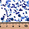 Glass Seed Beads SEED-S056-008-4