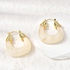 Brass Resin Hoop Earrings EJEW-P333-11D-G01-3