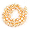 Baking Painted Pearlized Glass Pearl Bead Strands HY-N002-8mm-A09-3