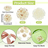 12Pcs 2 Colors Transaprent Resin Enamel Cabochons CRES-TA0001-91-4