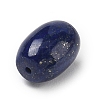 Natural Lapis Lazuli Beads G-T149-01C-2