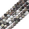 Natural Black Lip Shell Beads SHEL-M018-17-1