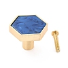 Hexagon with Marble Pattern Brass Box Handles & Knobs DIY-P054-C09-1