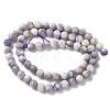 Natural Purple Turquoise Beads Strands G-L595-C04-01-3