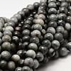 Natura Hawk's Eye Beads Strands G-D0001-22C-6mm-1