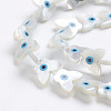 Natural White Shell Mother of Pearl Shell Beads SSHEL-L017-009-2