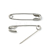 Iron Safety Pins NEED-D001-1-1