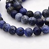 Natural Sodalite Round Beads Strands G-N0120-19-6mm-1