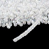 6/0 Glass Seed Beads SDB4mm161-3