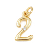 Brass Micro Pave Clear Cubic Zirconia Charms KK-P339-27G-02-1