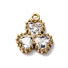 304 Stainless Steel Pendants STAS-D361-03G-02-1