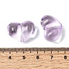 Transparent Glass Beads GLAA-F132-02K-3